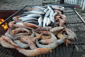 Vì sao hải sản lại dễ gây dị ứng khi ăn?