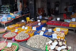 Người nội trợ thở phào vì giá củ kiệu tết vừa túi tiền