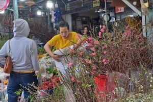 Chợ hoa Tết nhộn nhịp nhờ 'trend' cắm tuyết mai, cành mận rừng