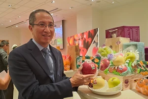 Đây là lý do trái cây Nhật Bản không lo ế dù giá cao chót vót 