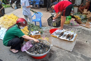 Ngày vía Thần tài: Tôm càng xanh 40.000 đồng/con