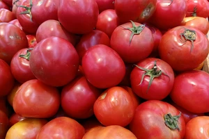 Ăn gì để giảm cân mà không lo thiếu chất?