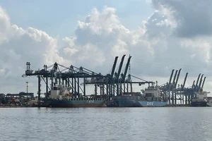 Doanh nghiệp tìm mọi cách vượt 'bão giá' vận tải đường biển