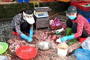 Cách chọn cá biển tươi hạn chế ngộ độc histamine