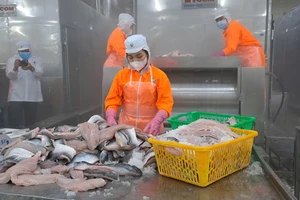 Thêm 1 mặt hàng khác của cá tra Việt được Trung Quốc tăng mua