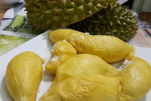 Sầu riêng 200.000 đồng/kg: Có phải bong bóng giá?