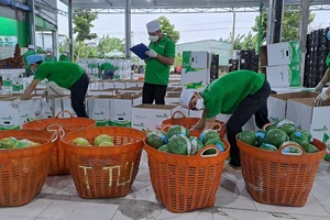 Hàng Việt 'chiếm sóng' thị trường Tết, đặc sản nội đánh bật hàng ngoại 
