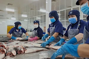 Cá ngừ, con tôm, con cua Việt Nam 'tính toán' chuyển hướng thị trường phù hợp trước áp lực thuế