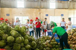 Xuất khẩu sầu riêng, trái cây sang thị trường Trung Quốc giảm mạnh