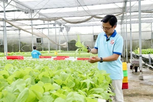 Nông nghiệp công nghệ cao tìm cơ hội vươn mình