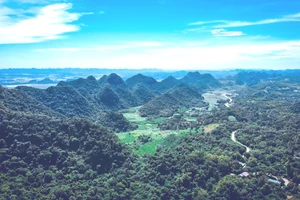 EU xếp Việt Nam vào nhóm quốc gia có rủi ro thấp về phá rừng