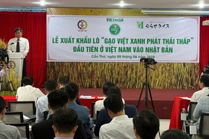 Xuất khẩu lô 'gạo Việt xanh phát thải thấp' đầu tiên sang Nhật Bản