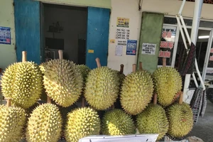 Sầu riêng vẫn chưa trở lại thời 'đỉnh cao', nhà kinh doanh tổ chức tiệc buffet sầu riêng