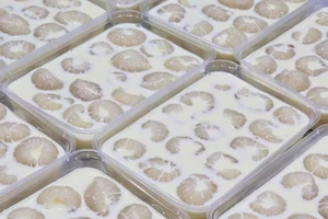 Vải thiều đắt khách trên sóng livestream và tạo 'trend' làm chè khúc bạch