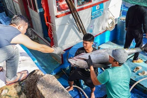 Những thủy sản nào của Việt Nam có nguy cơ bị 'mất cửa' tại thị trường Mỹ từ năm 2026?