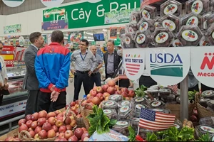 Sau trái cây đến sò điệp, ốc kèn, cua hoàng đế Mỹ vào Việt Nam nhiều