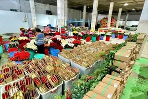 Thị trường hoa tươi 20-10 nơi kém vui, nơi tấp nập