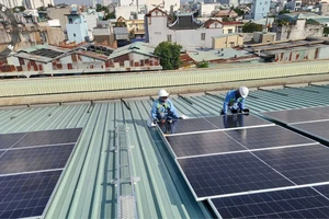 Đan Mạch đẩy mạnh đầu tư xanh tại Việt Nam