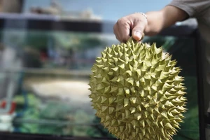 Xuất khẩu sầu riêng vượt kỷ lục năm 2024, giá trong nước neo cao