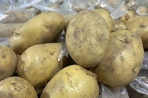 Khoai tây có chỉ số đường huyết cao, người bị tiểu đường phải chú ý điều gì?