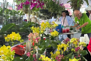 Hoa Tết đủ sắc màu đã ngập tràn khắp phố phường, chợ mạng