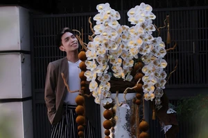 Lan hồ điệp dát vàng 24K, nụ tầm xuân hút khách mùa Tết