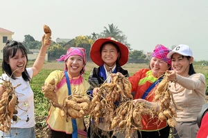 Khoai lang, chẩm chéo Điện Biên... đắt hàng trên sóng livestream