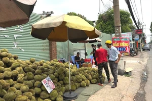 Vì sao sầu riêng vỉa hè TP.HCM có giá rẻ 30.000 đồng/kg?