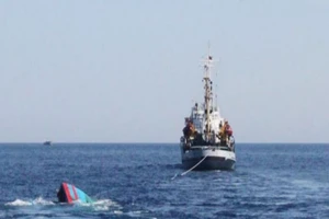 Tàu biển tông chết người rồi bỏ trốn