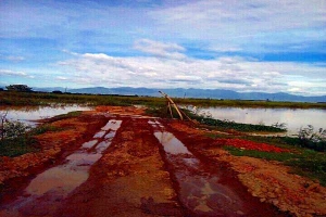 Bắt giam giám đốc tấn công phó chủ tịch xã