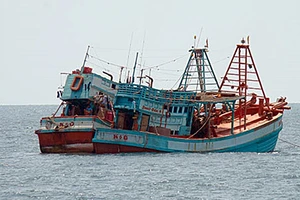 Bình Thuận kêu cứu nạn “giã cào bay”