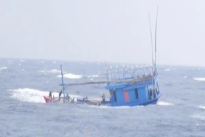 Máy bay đưa 5 thuyền viên gặp nạn vào bờ