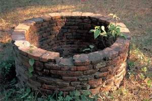 Bé gái 18 ngày tuổi bị ném xuống giếng sâu