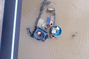 Xe tải chở gà tông sập lan can cầu, bay xuống sông Dinh