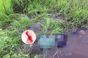 1 phụ nữ chết bất thường dưới cầu Phú Sung