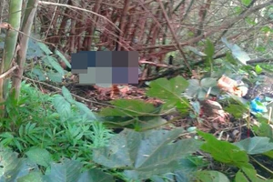 Phát hiện thi thể cụ ông sau 5 tháng mất tích bí ẩn