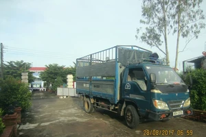 Kiểm tra bảng tên trường bị xe tải kéo rơi