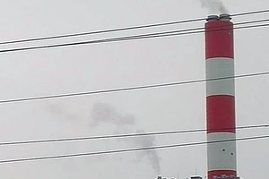 Hải sản chết bất thường gần Nhiệt điện Vĩnh Tân 4