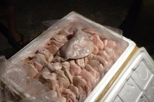 Bắt xe chở cả tấn tai heo thối từ TP.HCM ra phía Bắc