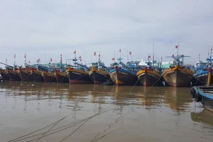 Bão số 16: Bình Thuận còn 683 tàu hoạt động trên biển 