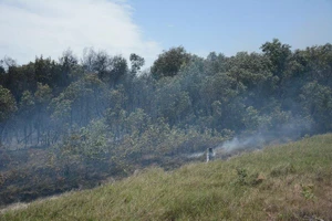 Điều tra vụ cháy Khu bảo tồn thiên nhiên Tà Kóu