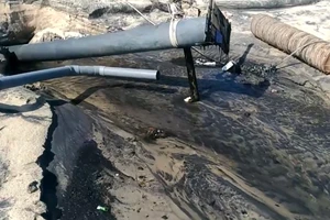 Chưa xác định 'tác giả' nguồn nước đen biển Mũi Né