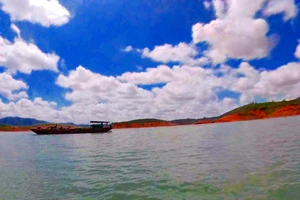 Kiểm tra khẩn vụ 'phá rừng, trộm cát công khai ở hồ Đa Mi'