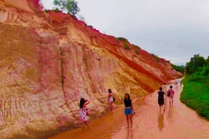 Ngỡ ngàng Suối Tiên Mũi Né thay áo mới hút du khách