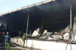 Cháy vựa thanh long, 1 cảnh sát bị thương