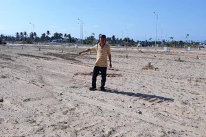 Vườn dừa bỗng dưng bị doanh nghiệp ủi sạch phân lô bán nền