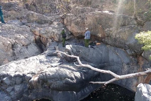 Nam thanh niên đầy hình xăm treo cổ trong rừng 