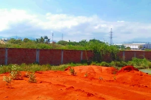 Đất đang canh tác bỗng dưng bị san lấp, chiếm giữ