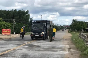 Bình Thuận tiêu hủy 865 con heo mắc dịch tả heo châu Phi