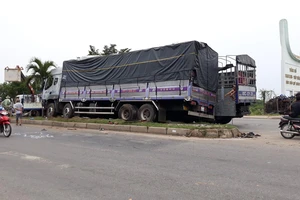 Xe tải tông 2 người chờ sang đường, húc đổ trụ điện